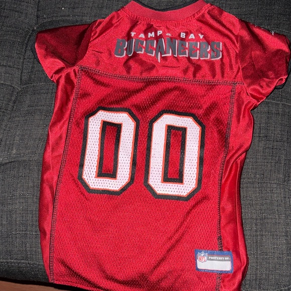 Tampa Bay Dog/pet Jersey - Picture 2 of 4